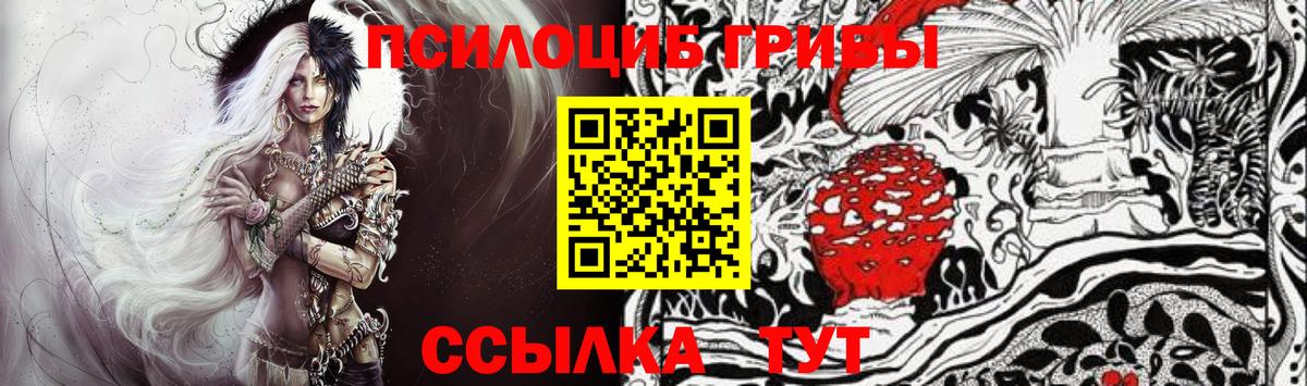 Псилоцибиновые грибы ЛСД  как найти наркотики  Вход с VPN  Лосино-Петровский  Галлюциногенные грибы Psilocybe 